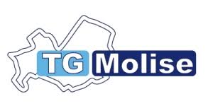 tg molise